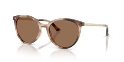 Jimmy Choo JC 5060 - 509773 HAVANA dark brown