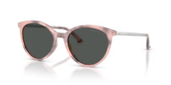 Jimmy Choo JC 5060 - 509887 ROSE HAVANA dark grey