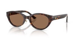 Jimmy Choo JC 5064D - 500273 HAVANA dark brown