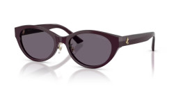 Jimmy Choo JC 5064D - 50751A PRUNE violet