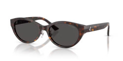 Jimmy Choo JC 5064D - 500287 HAVANA dark grey