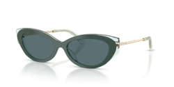 Jimmy Choo JC 5065D - 510487 DARK GREEN dark grey