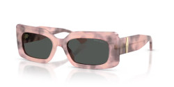 Jimmy Choo JC 5067 - 509887 ROSE HAVANA dark grey