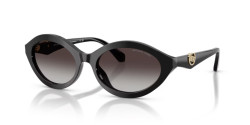 Michael Kors MK 2257U CARLAZZO - 30058G BLACK light grey gradient