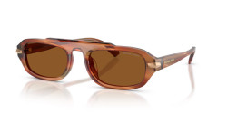 Michael Kors MK 2279U WATCH HILL - 403973 BROWN HORN amber