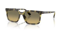 Michael Kors MK 2282U HONOLULU - 4029L0 OLIVE TORTOISE olive gradient