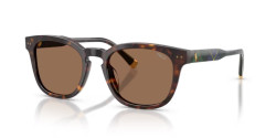 Polo Ralph Lauren PH 4242U - 562573 SHINY HAVANA dark brown