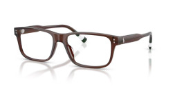 Polo Ralph Lauren PH 2302U - 6315 SHINY TRANSPARENT BROWN