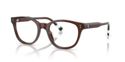 Polo Ralph Lauren PH 2303U - 6315 SHINY TRANSPARENT BROWN