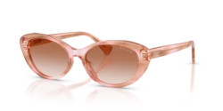 Ralph RA 5350U - 634113 ROSE HAVANA BROWN gradient brown
