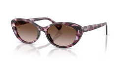 Ralph RA 5350U - 634213 VIOLETA HAVANA gradient brown
