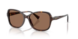 Ralph RA 5351U - 500373 SHINY DARK HAVANA brown