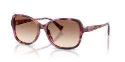 Ralph RA 5351U - 623913 VIOLET HAVANA gradient brown