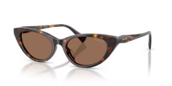 Ralph RA 5352U - 500373 SHINY DARK HAVANA brown