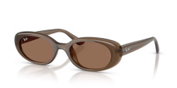 Ray-Ban RB 4441D - 677973 OPAL BROWN dark brown