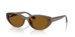 Ray-Ban RB 4457D - 677983 TRANSPARENT BROWN dark brown polarized
