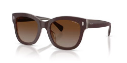 Ralph RA 5301U - 6055T5 SHINY MILKY BROWN polarized light brown