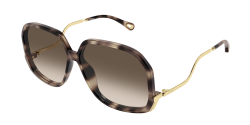 Chloe CH 0404S - 003 HAVANA brown gradient