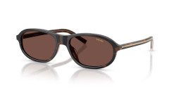 Prada PR 20SU - 20P90W CHERRY TORTOISE/TOBACCO HORN black chocolate