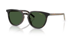 Prada PR D15SD - 20P40P CHERRY TORTOISE/TOBACCO HORN green