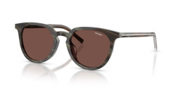 Prada PR D15SD - 24P90W CHESTNUT HORN/WALNUT HORN carrubo bio