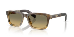 Prada PR D16S - 21P81B OAK TORTOISE GRADIENT brown gradient grey