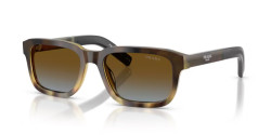 Prada PR D16S - 22P0A4 MAHOGANY TORTOISE GRADIENT blue gradient brown