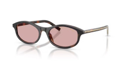 Prada PR D17S - 20P9G1 CHERRY TORTOISE/TOBACCO HORN light violet