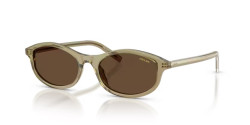 Prada PR D17S - 27O9L1 TRANSPARENT LODEN dark brown