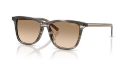 Prada PR D18SD - 26O20S STRIPED EBONY yellow gradient brown