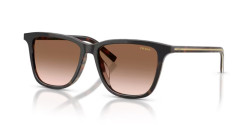 Prada PR D18SD - 20P90P CHERRY TORTOISE/TOBACCO HORN brown gradient