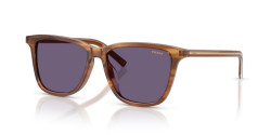 Prada PR D18SD - 25O70W STRIPED ROSEWOOD violet