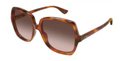Chloe CH 0388S - 002 HAVANA brown gradient