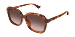 Chloe CH 0390SK - 002 HAVANA brown gradient
