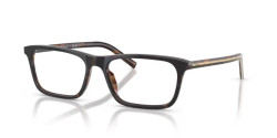 Prada PR D13V - 20P1O1 CHERRY TORTOISE/TOBACCO HORN