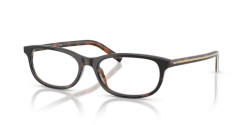 Prada PR D15VU - 20P1O1 CHERRY TORTOISE/TOBACCO HORN