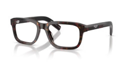 Prada PR D12V - 17N1O1 ROOT TORTOISE
