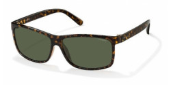 Polaroid PLD 3010 V08/H8 HAVANA green polar
